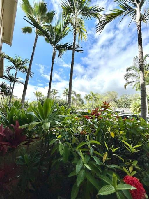 Amazing Condo Peaks Of Ocean View On Ali'I Dr By Surf Spots Kailua-Kona Dış mekan fotoğraf